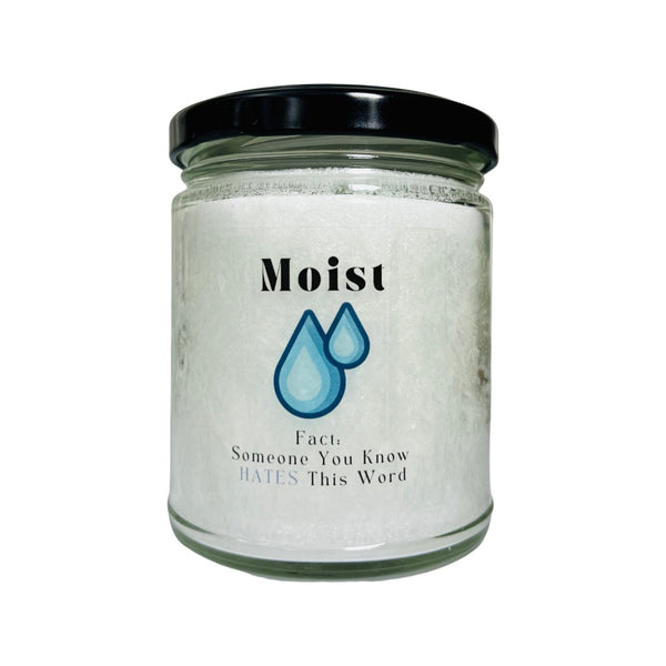 Moist - Fact Someone You Know Hates This Word, Candle for BFF Coworker, White Elephant Gift 9 oz